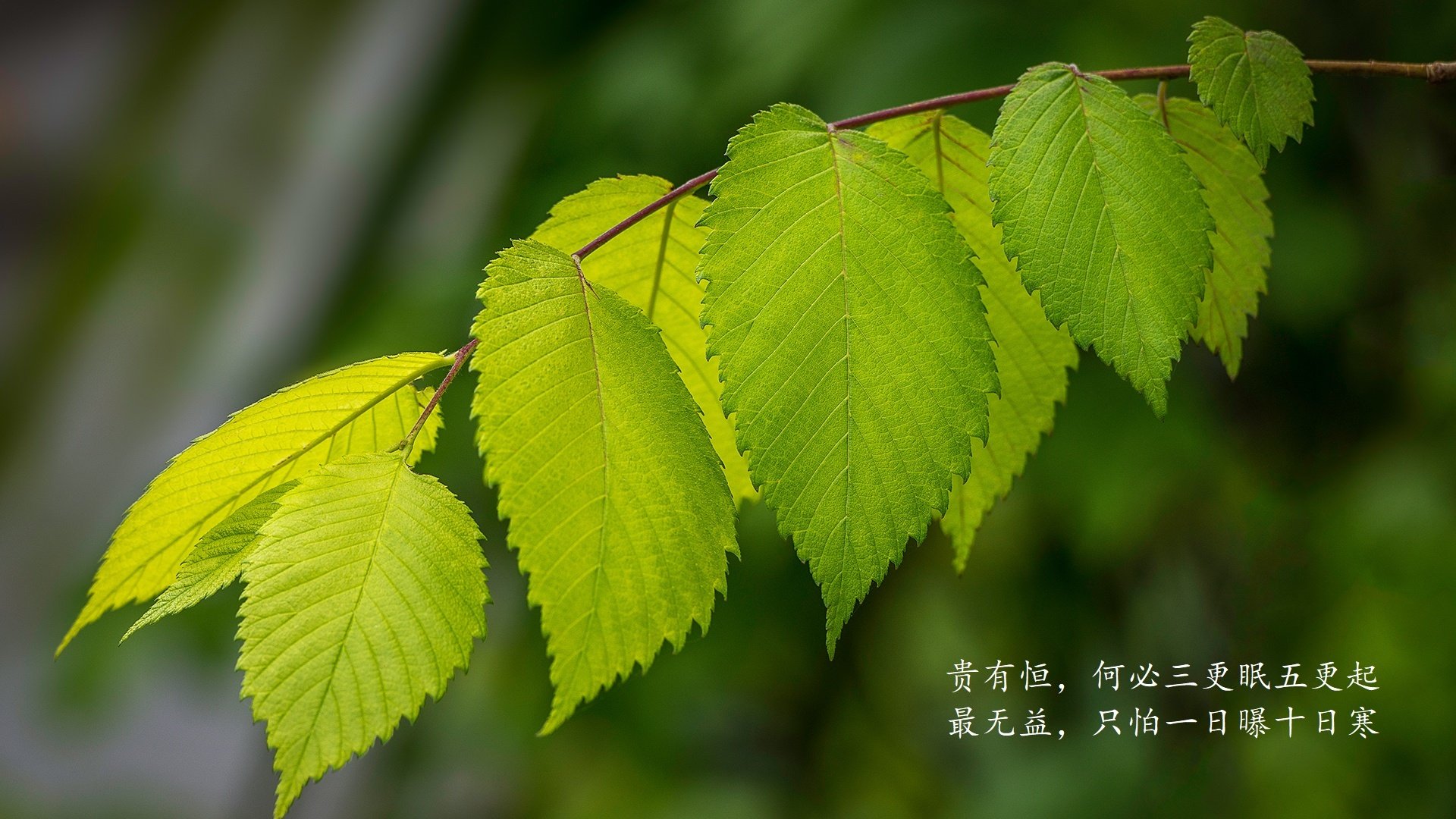《CS_GO史诗大战,水平飙升赛场火爆》,csgo顶级赛事