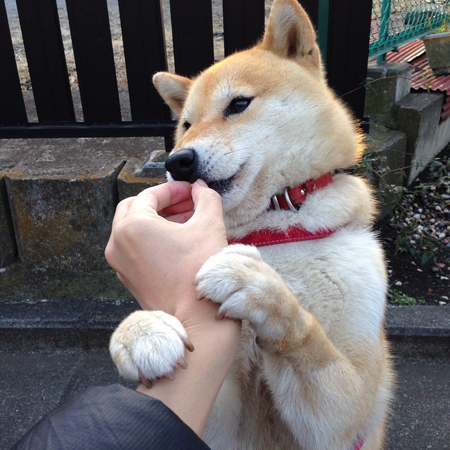 女性电竞崛起：打造多元包容的行业新格局，女子电竞什么意思